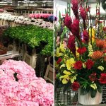 Flower Chiller Singapore – All You Need To Know